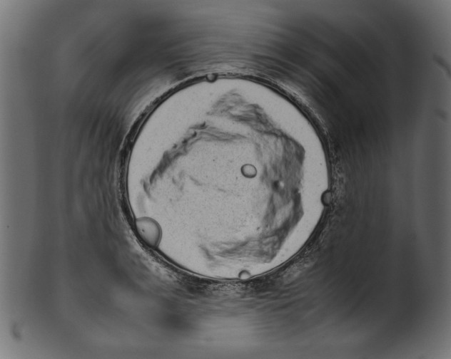 X0000100880991200807181255