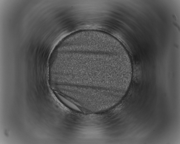 X0000100880992200807181255