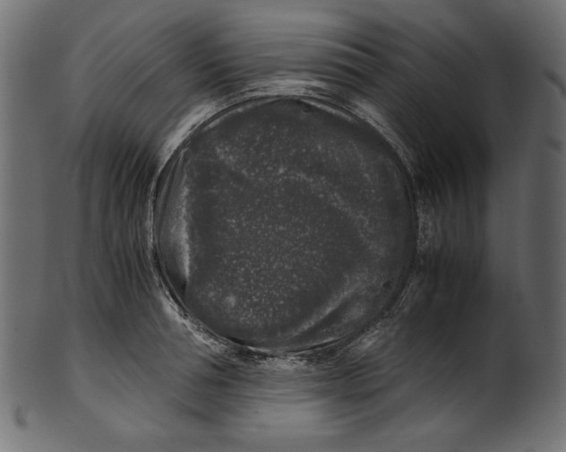 X0000100880994200807181255