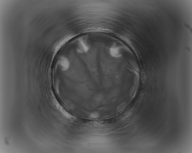 X0000100880995200807181255