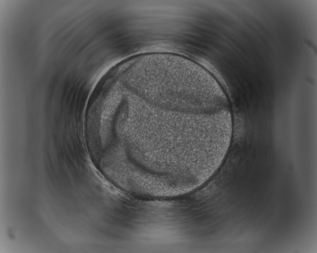 X0000100880996200807181255