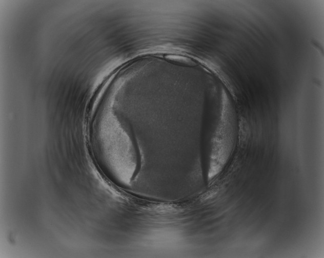 X0000100880998200807181255