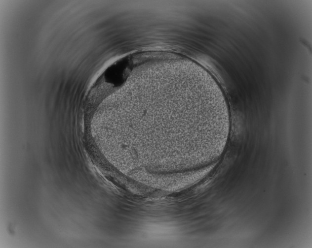 X0000100881000200807181255