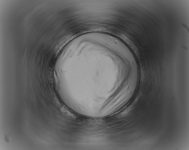 X0000100881001200807181255