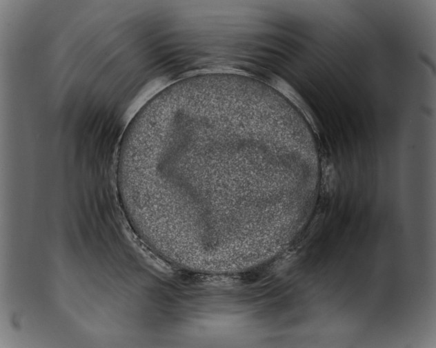 X0000100881002200807181255