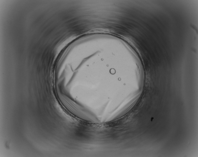 X0000100881003200807181255