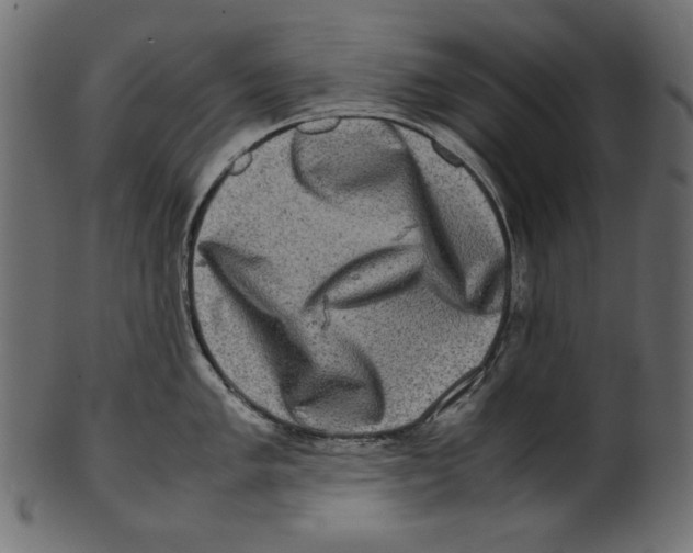 X0000100881005200807181255