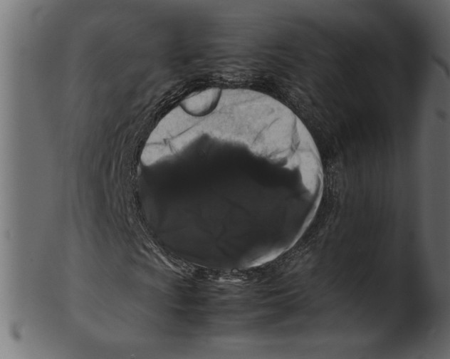 X0000100881009200807181254