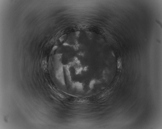 X0000100881011200807181254