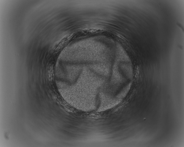 X0000100881014200807181254