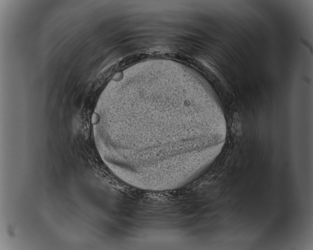 X0000100881015200807181254