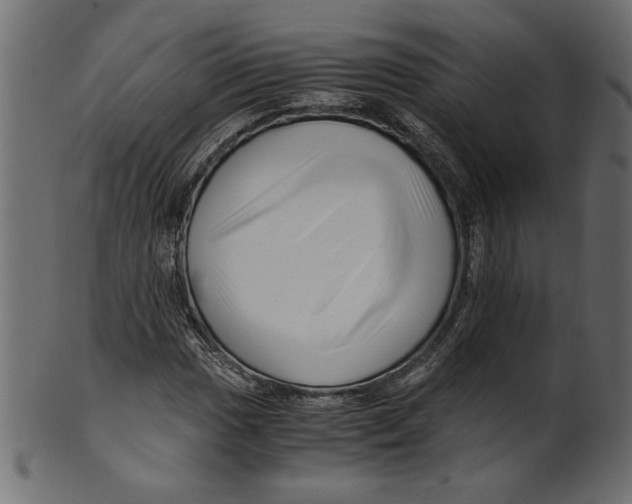 X0000100881017200807181254