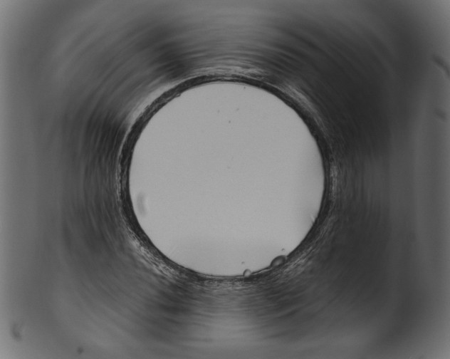 X0000100881020200807181254