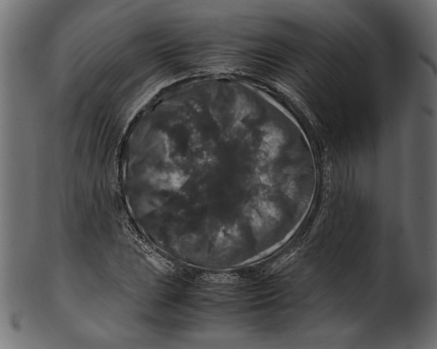 X0000100881023200807181254