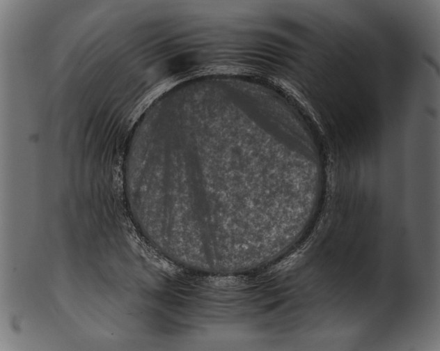 X0000100881025200807181254