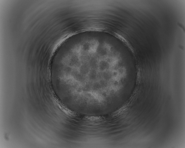 X0000100881027200807181254