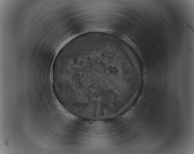 X0000100881028200807181254