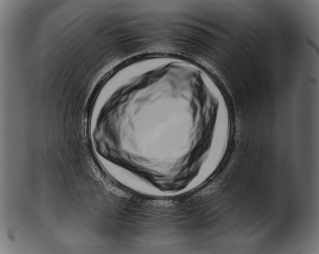 X0000100881029200807181254