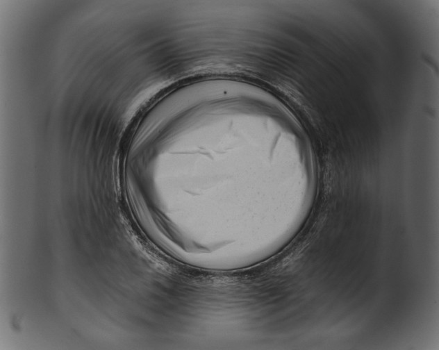 X0000100881030200807181254