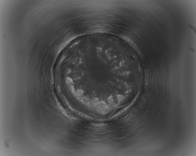 X0000100881031200807181254