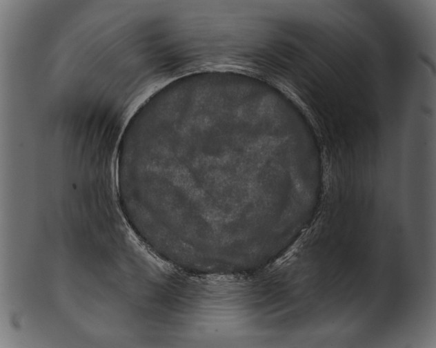 X0000100881032200807181254