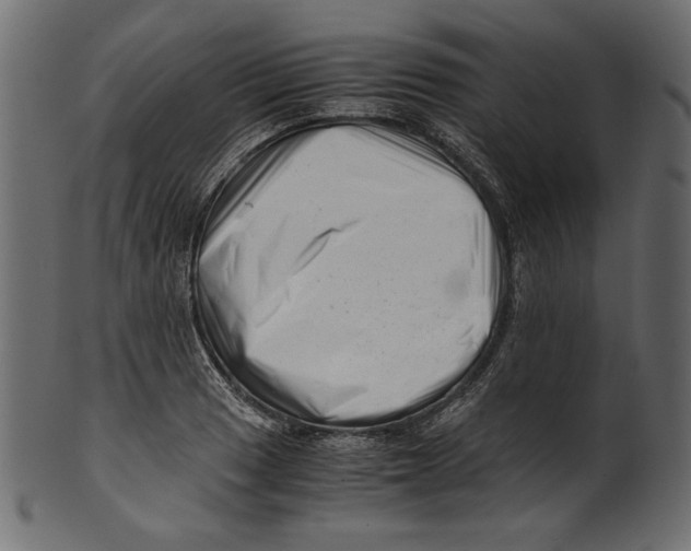 X0000100881033200807181254