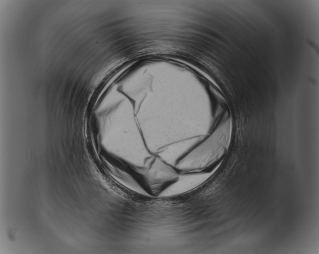 X0000100881034200807181254