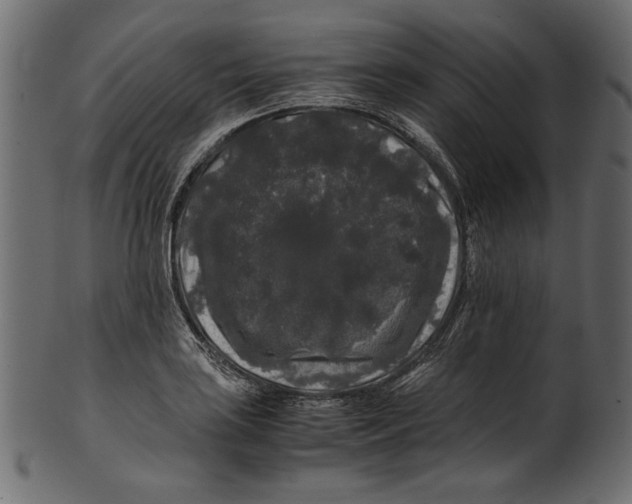 X0000100881035200807181254