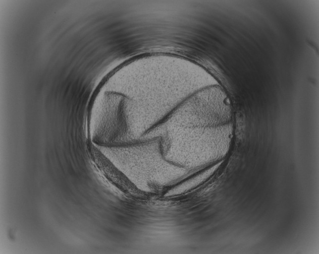 X0000100881036200807181254