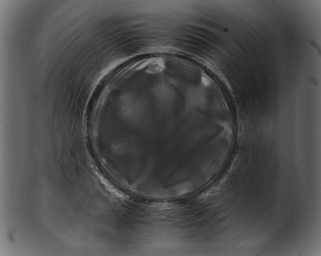 X0000100881037200807181254