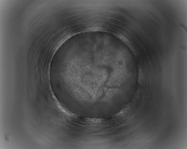 X0000100881039200807181254