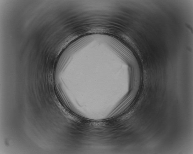 X0000100881041200807181254