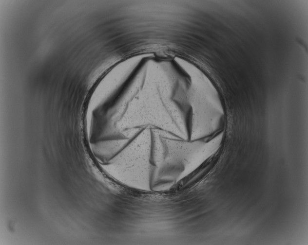 X0000100881042200807181254