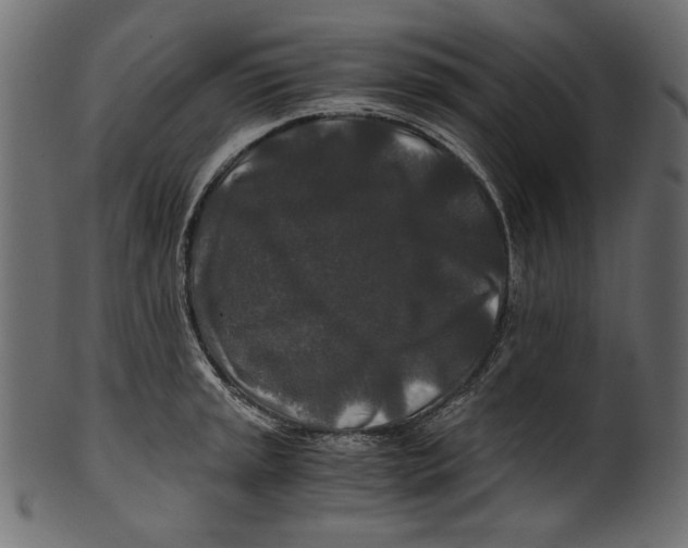 X0000100881045200807181254