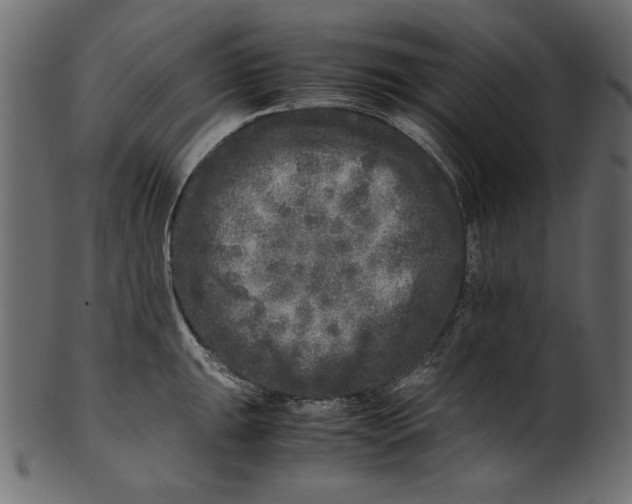 X0000100881047200807181254