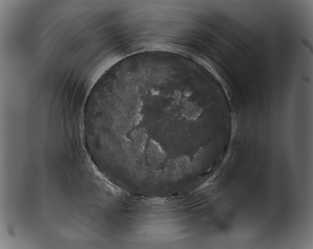 X0000100881048200807181254