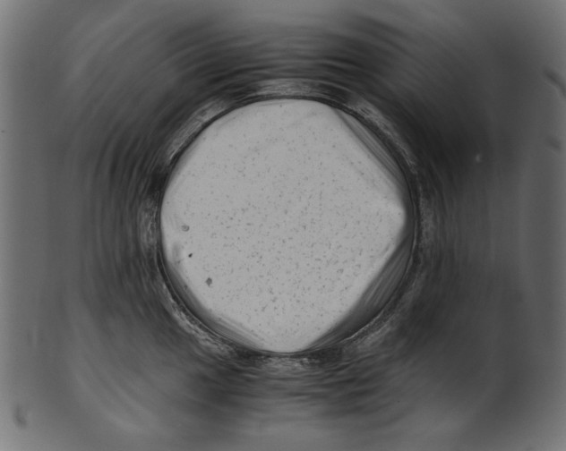 X0000100881049200807181254