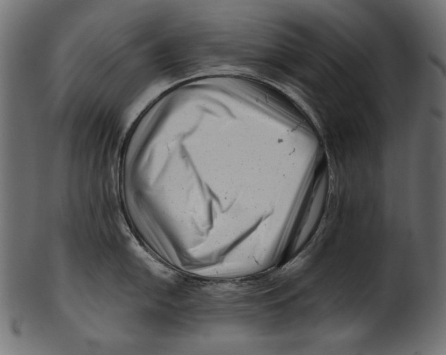 X0000100881054200807181254