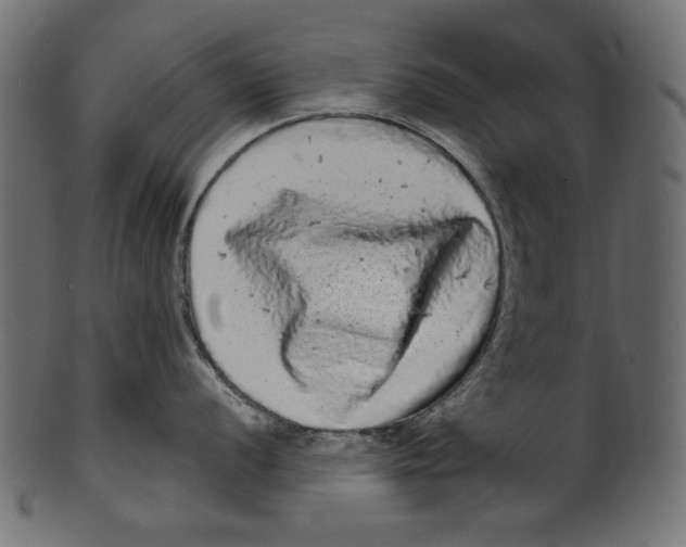 X0000100881056200807181254