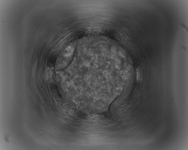 X0000100881059200807181254