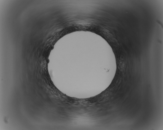 X0000100881061200807181254