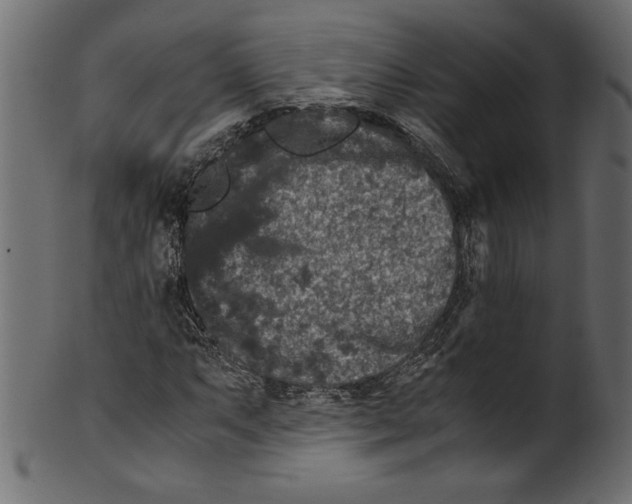 X0000100881063200807181254