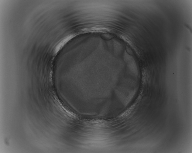 X0000100881066200807181254