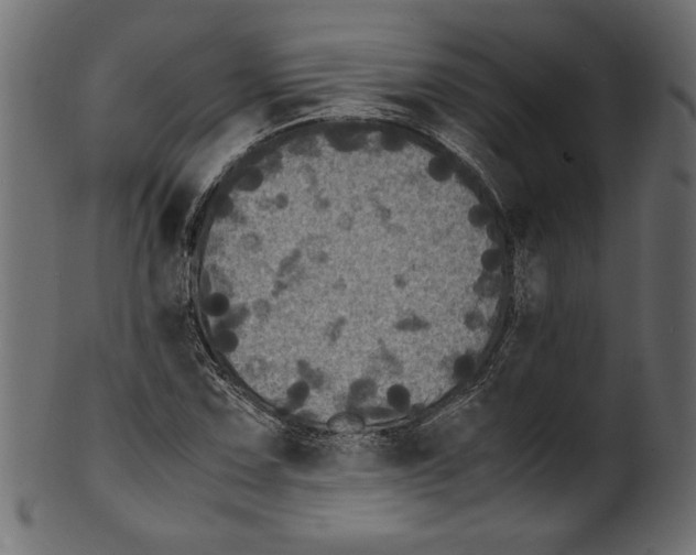 X0000100881067200807181253