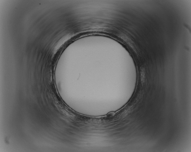 X0000100881069200807181253