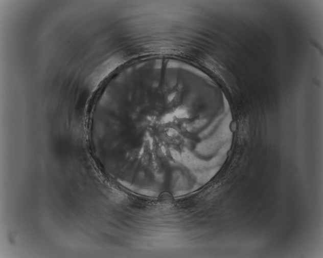 X0000100881071200807181253