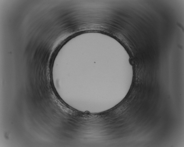 X0000100881072200807181253