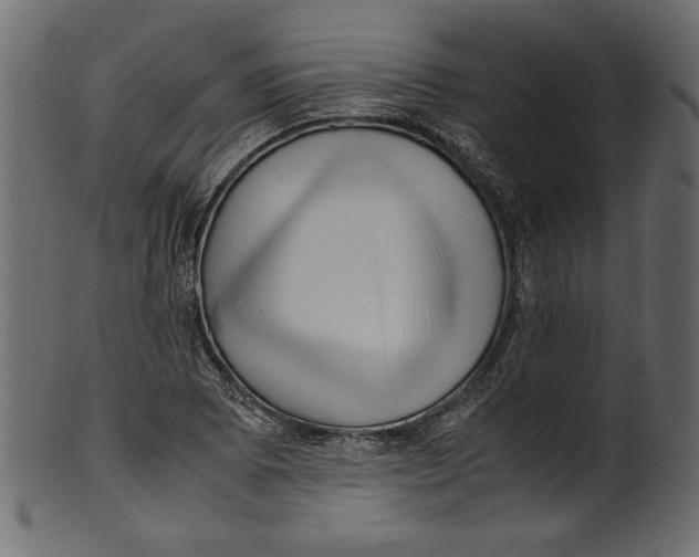 X0000100881073200807181253