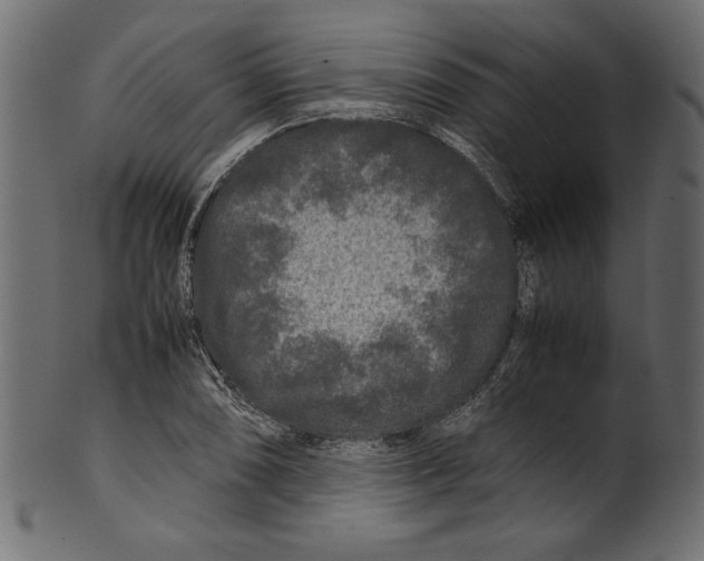 X0000100881074200807181253