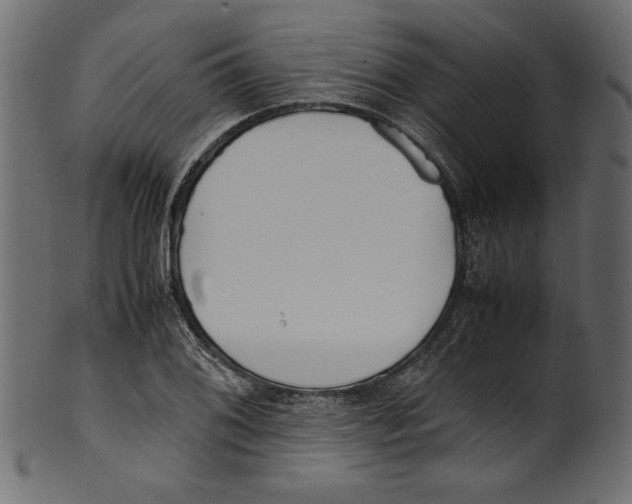 X0000100881076200807181253